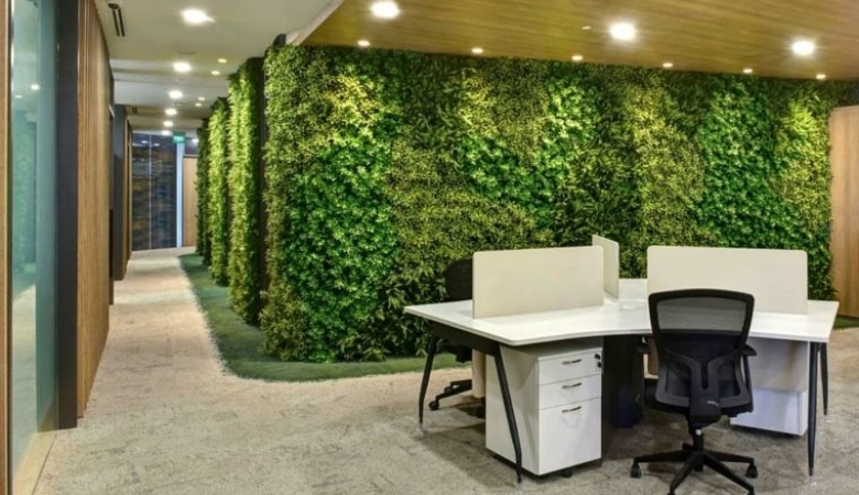 Ofisimizden Görüntüler